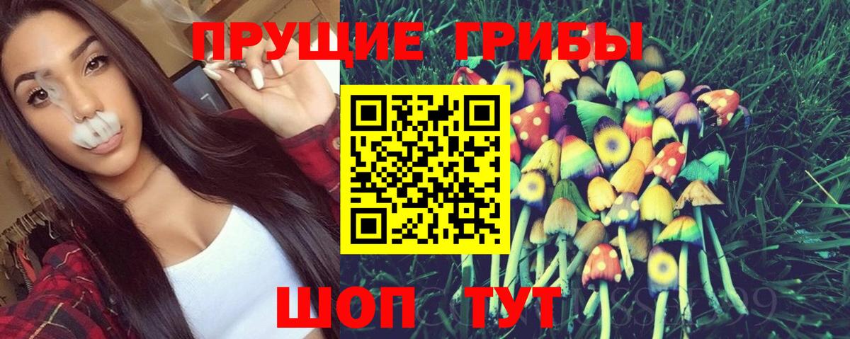 Галлюциногенные грибы прущие грибы Киржач