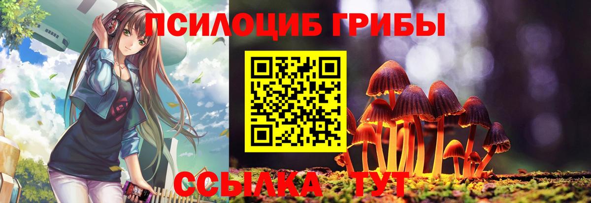 Киржач  Псилоцибиновые грибы Psilocybe  Галлюциногенные грибы мухоморы  Вход с VPN 